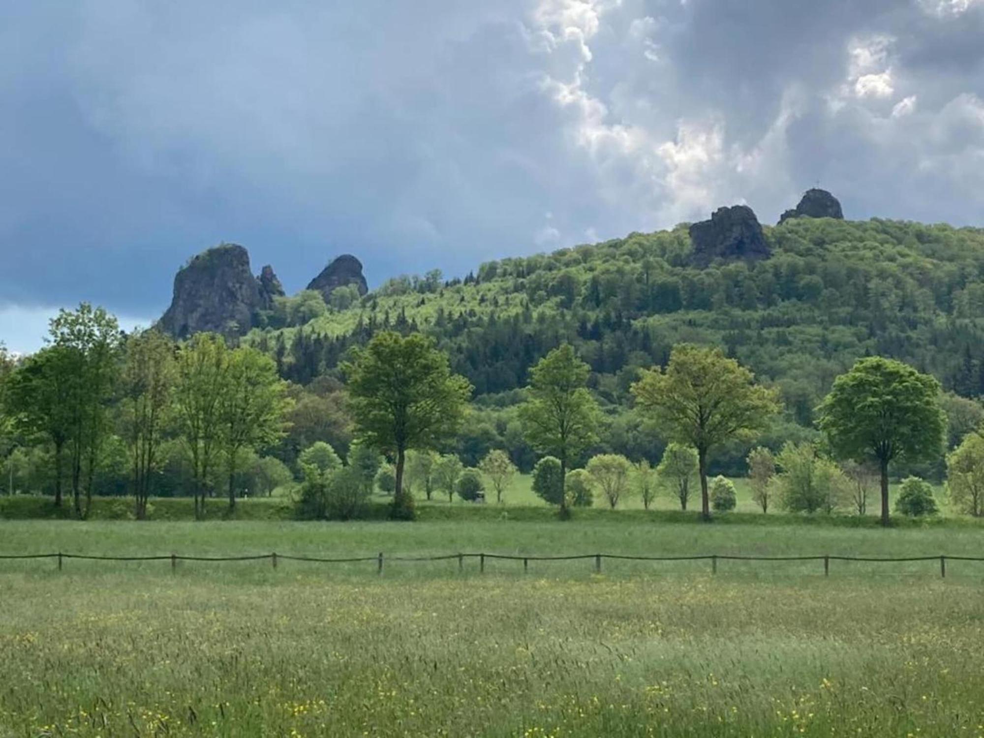 Fabulous Holiday Home In Olsberg Near Ski Area Elpe Εξωτερικό φωτογραφία